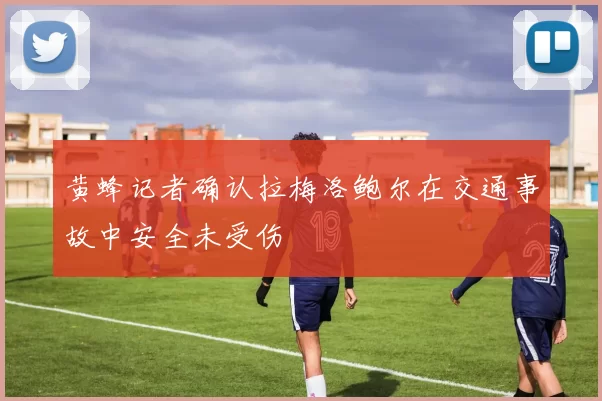 黄蜂记者确认拉梅洛鲍尔在交通事故中安全未受伤