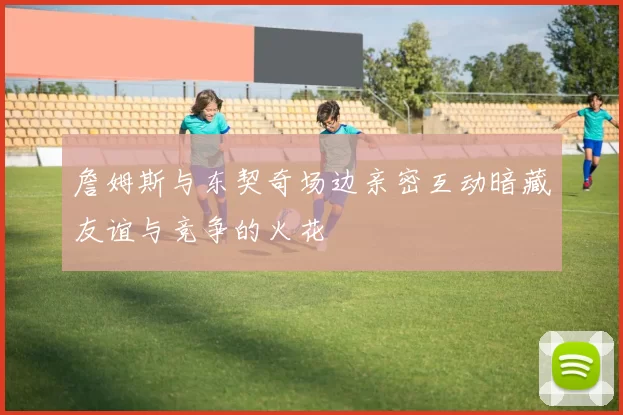 詹姆斯与东契奇场边亲密互动暗藏友谊与竞争的火花
